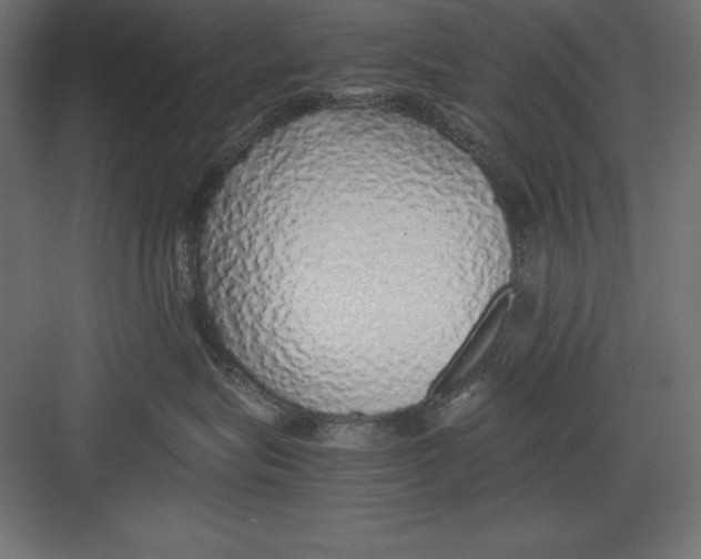 X0000082140575200702092128