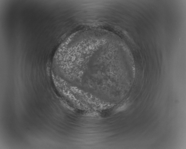 X0000082140576200702092128