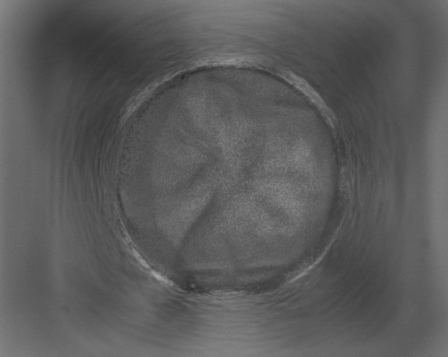 X0000082140577200702092127