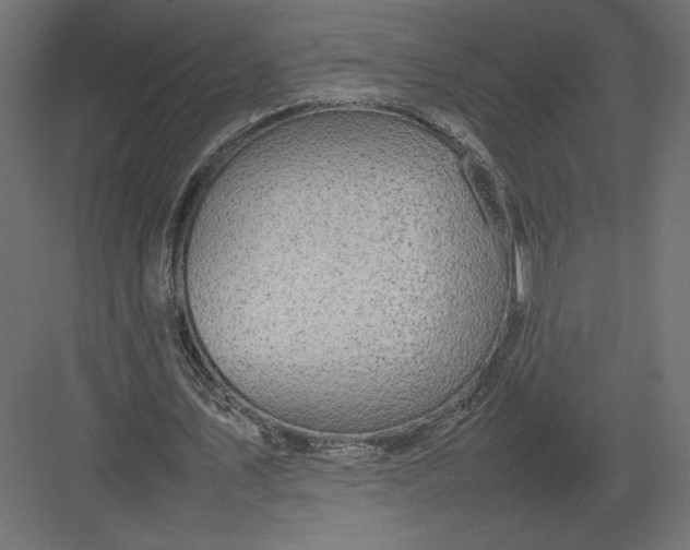 X0000082140579200702092127