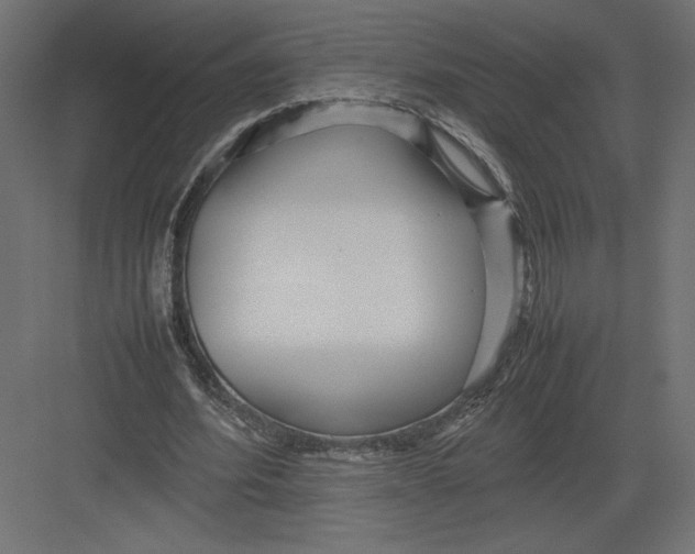 X0000082140580200702092127