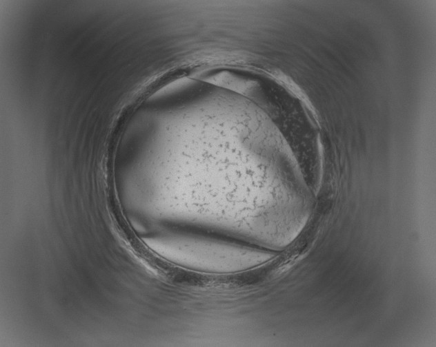 X0000082140581200702092127