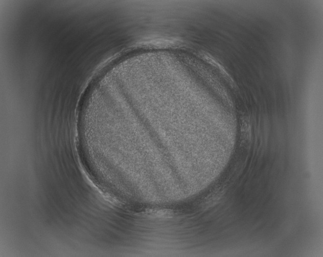 X0000082140582200702092127