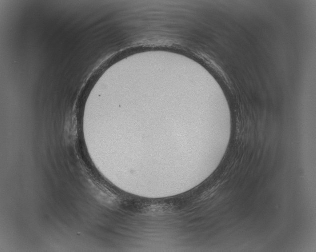 X0000082140584200702092127