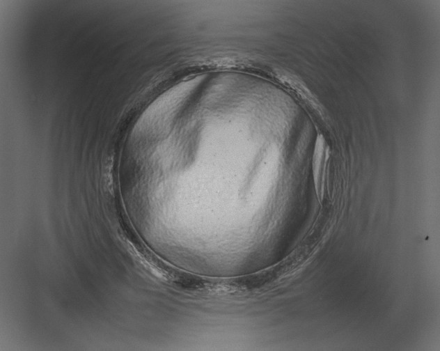 X0000082140585200702092127