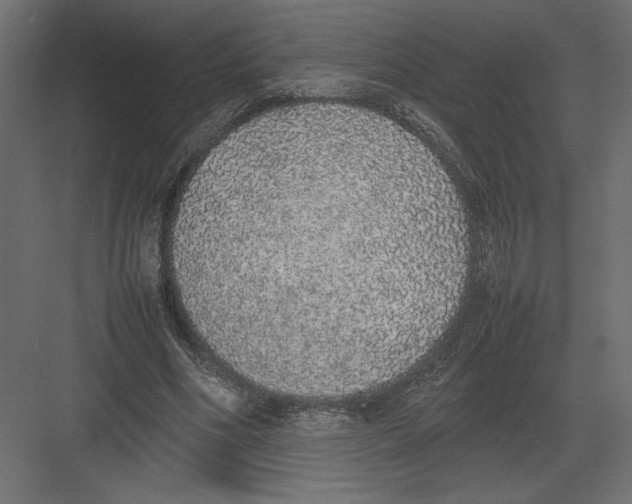 X0000082140586200702092127