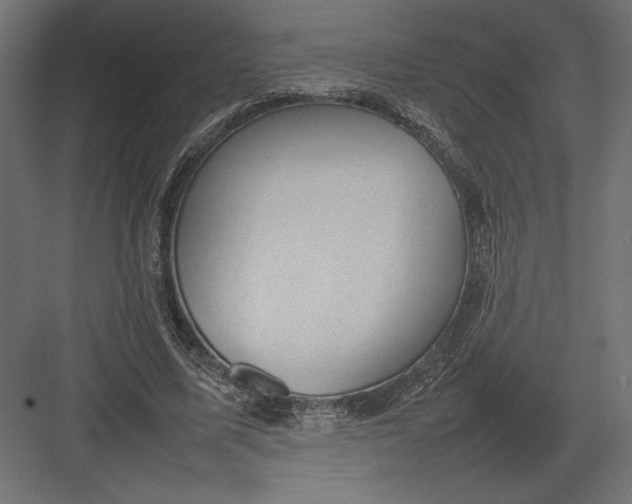 X0000082140587200702092127