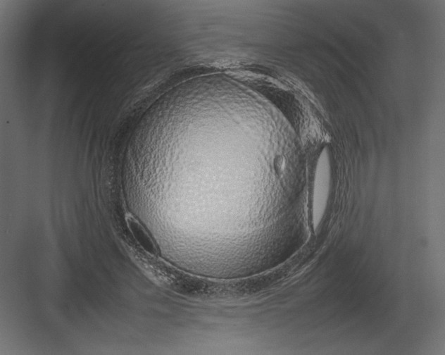 X0000082140589200702092127