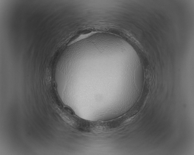 X0000082140593200702092127