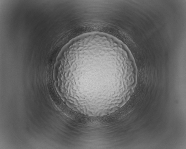 X0000082140594200702092127