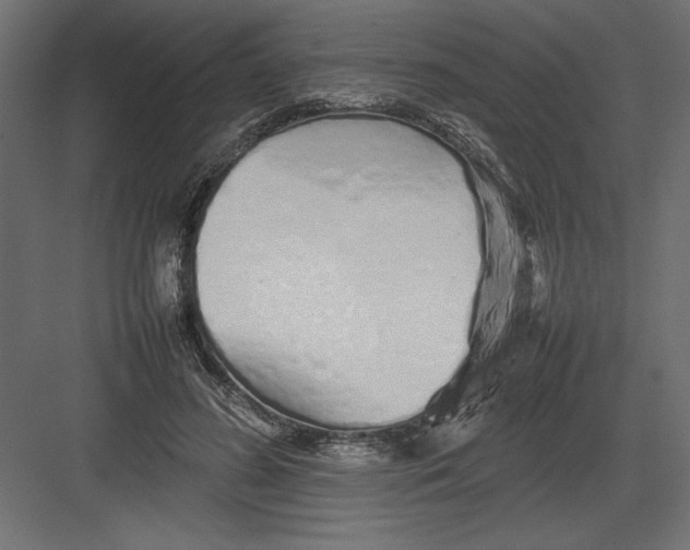 X0000082140596200702092127