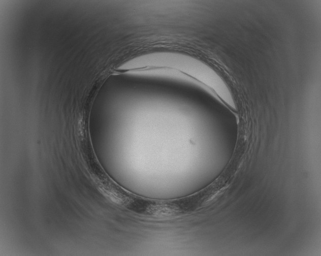 X0000082140597200702092127