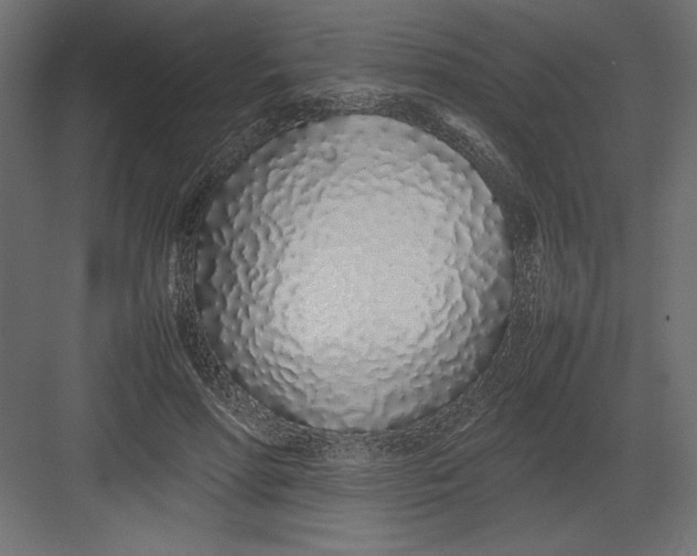 X0000082140598200702092127