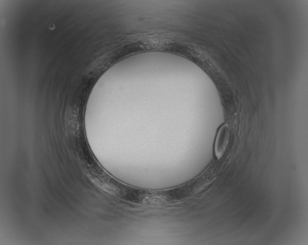 X0000082140599200702092127