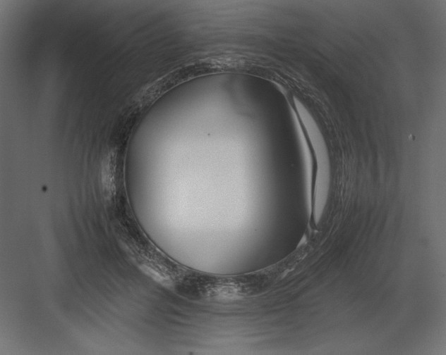 X0000082140600200702092127