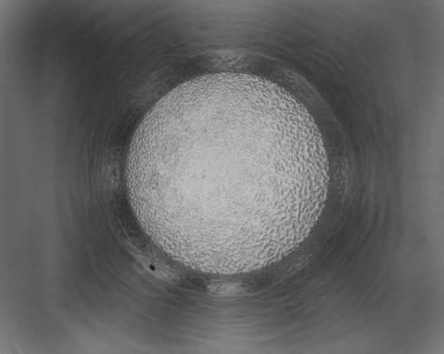 X0000082140602200702092127