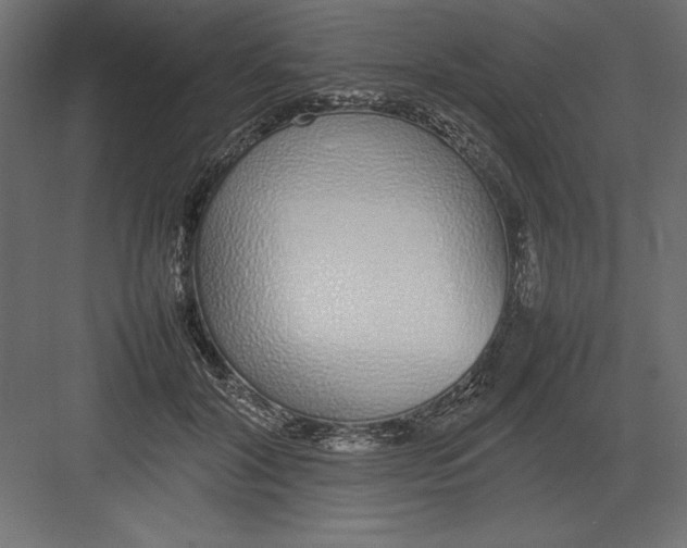 X0000082140604200702092127