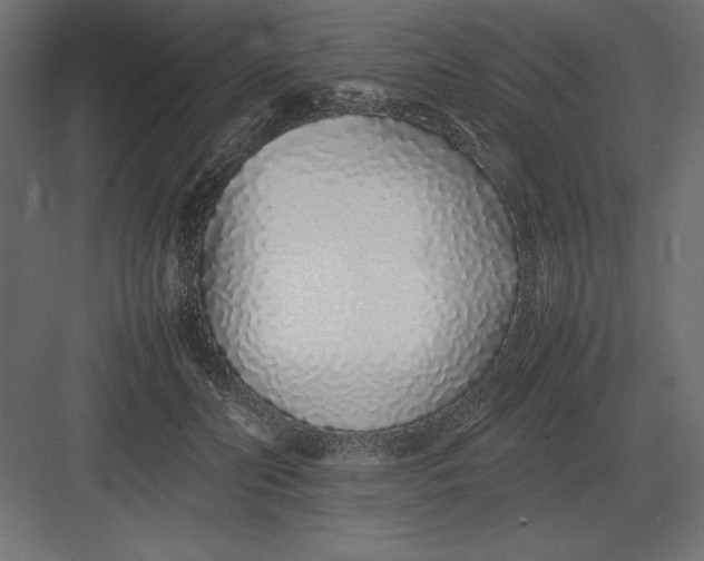 X0000082140606200702092127