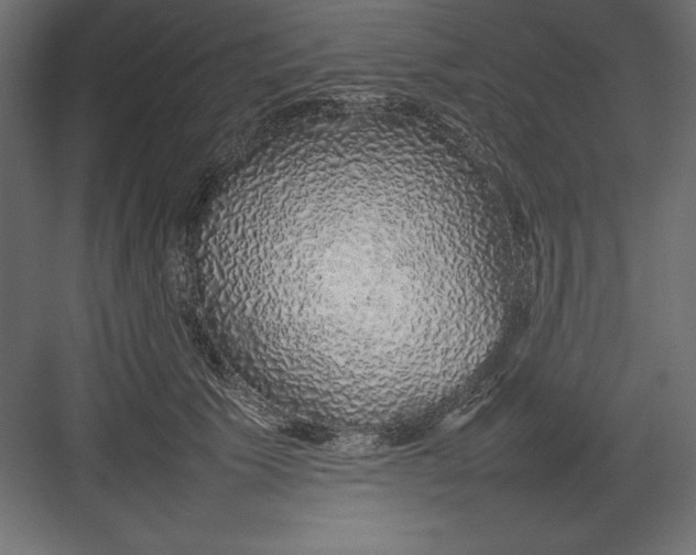 X0000082140609200702092127