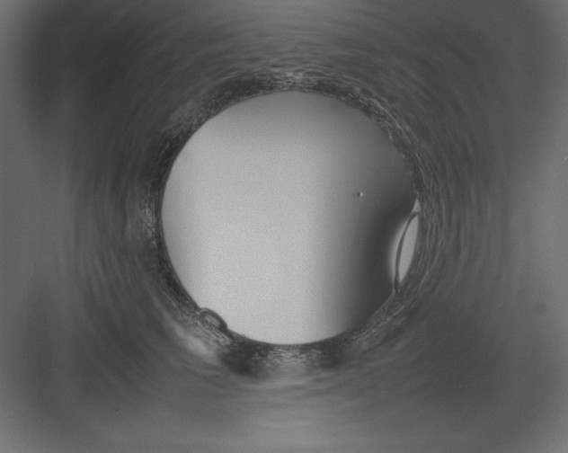 X0000082140613200702092127