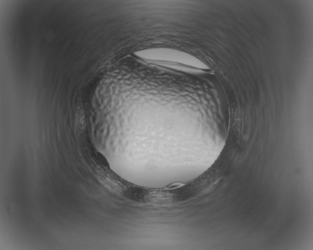 X0000082140617200702092127