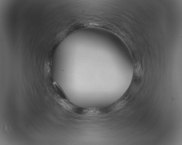 X0000082140621200702092127