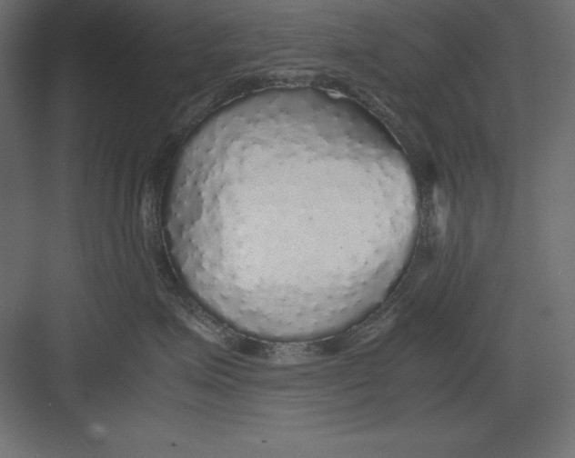 X0000082140623200702092127