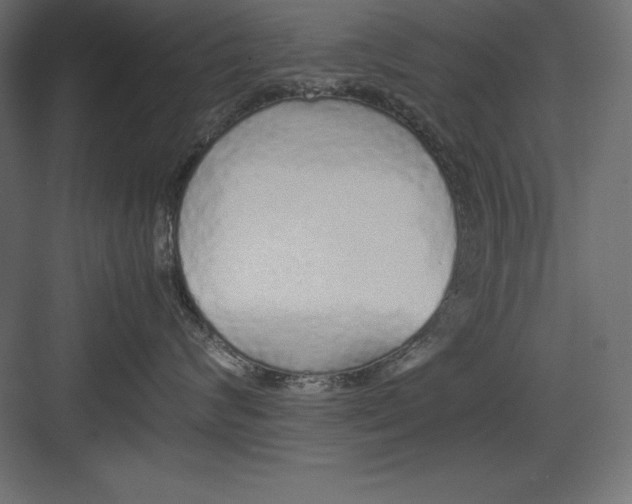 X0000082140624200702092127