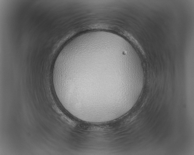 X0000082140625200702092126