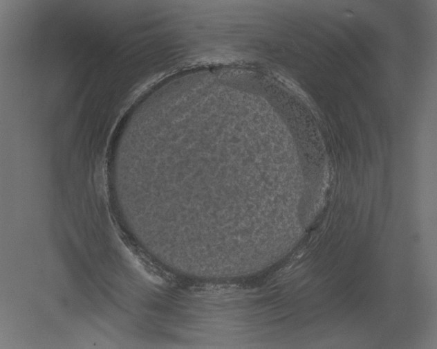 X0000082140626200702092126