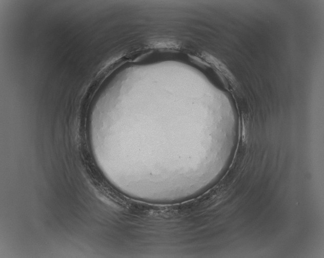 X0000082140627200702092126