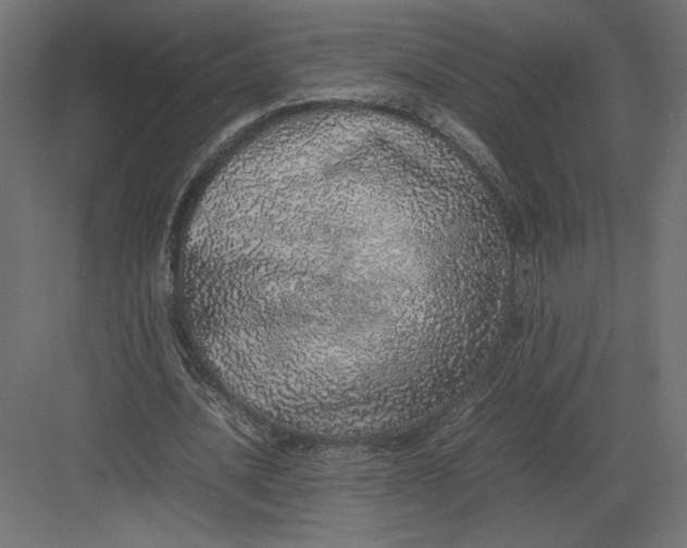 X0000082140628200702092126