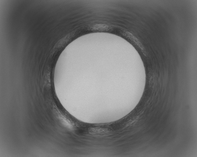 X0000082140633200702092126