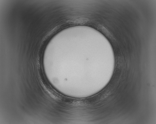 X0000082140634200702092126