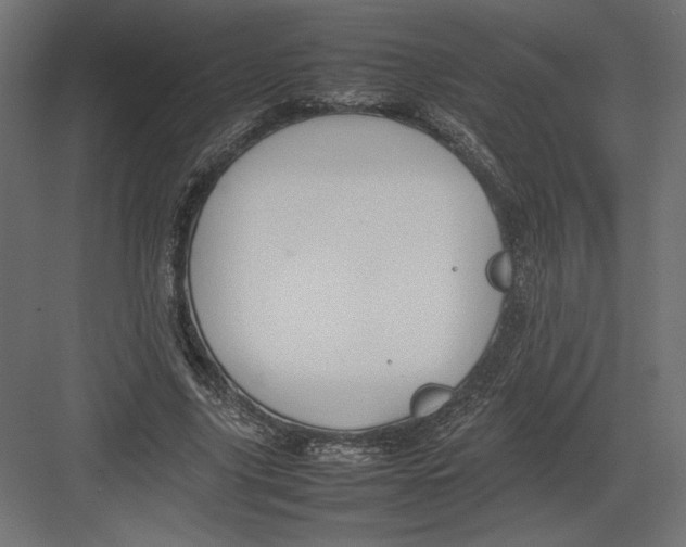 X0000082140635200702092126