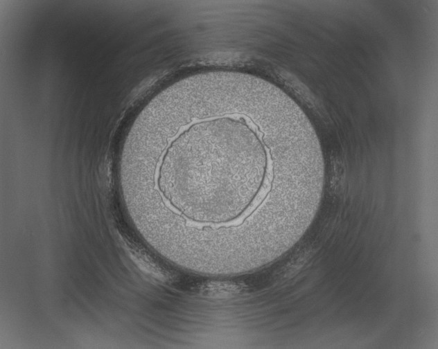 X0000082140636200702092126