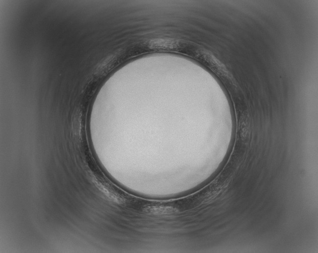 X0000082140637200702092126