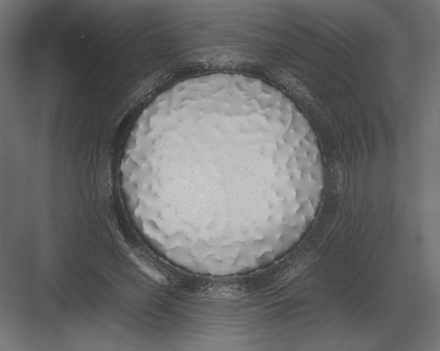 X0000082140638200702092126