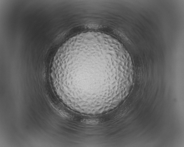 X0000082140639200702092126