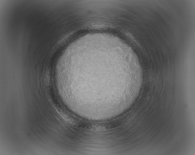 X0000082140640200702092126