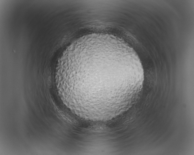 X0000082140642200702092126