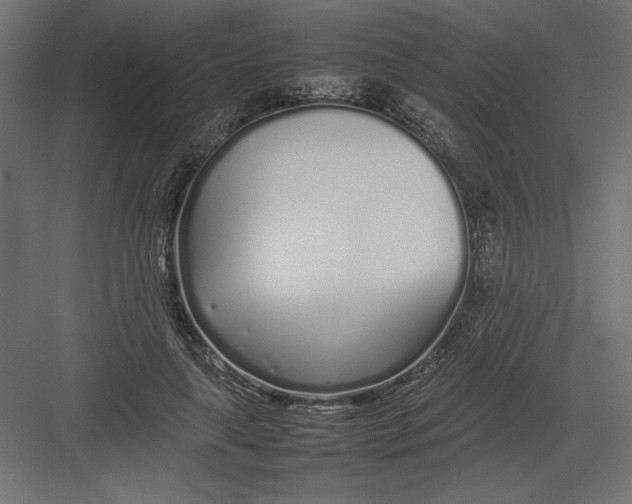 X0000082140643200702092126