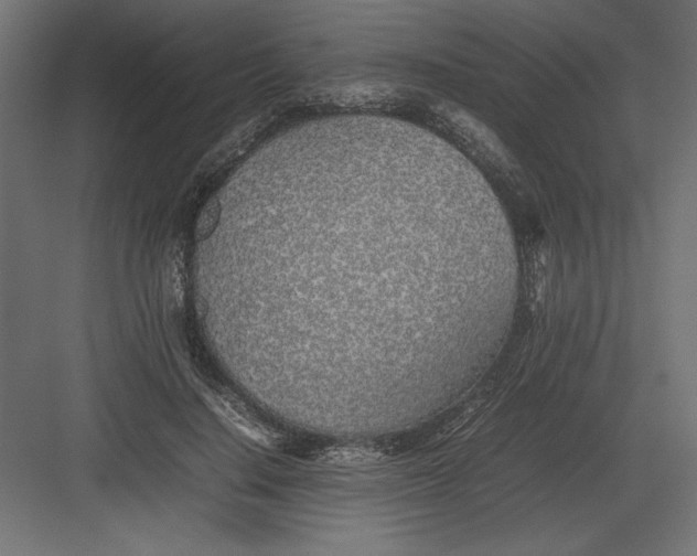 X0000082140644200702092126