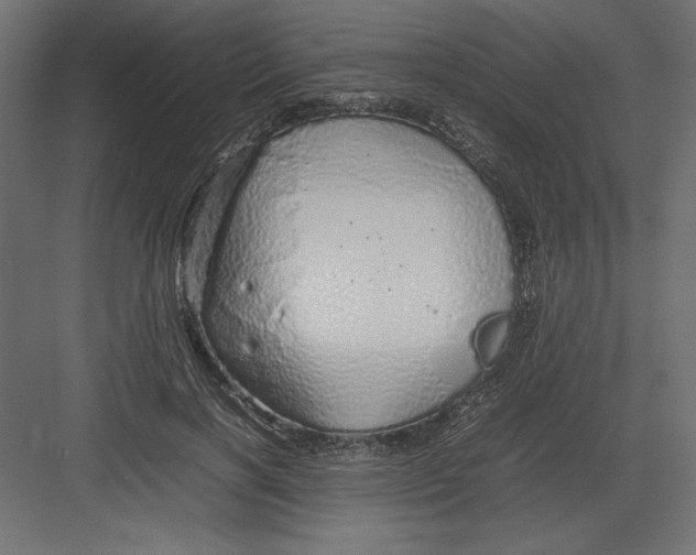 X0000082140646200702092126