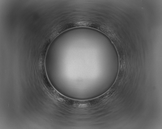 X0000082140647200702092126