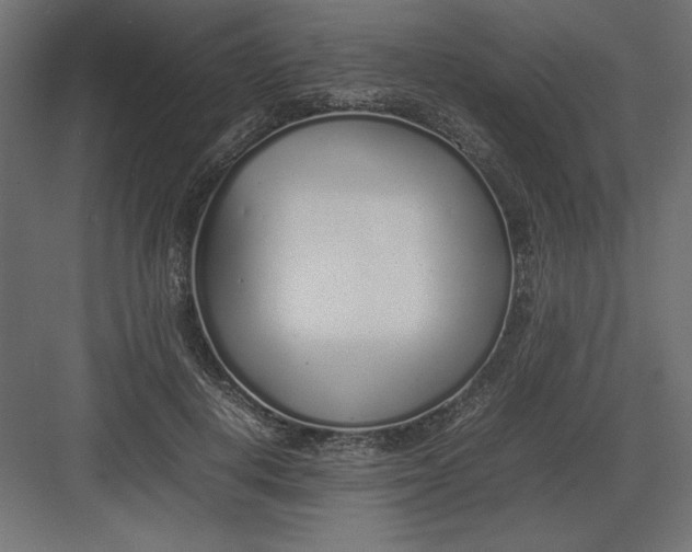 X0000082140648200702092126