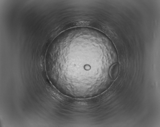 X0000082140649200702092126