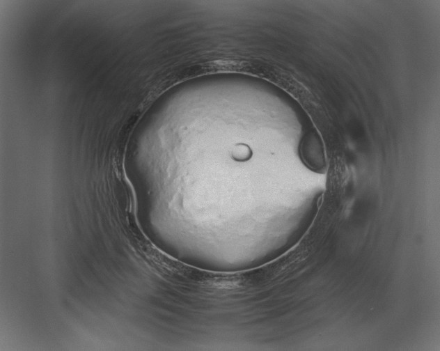 X0000082140651200702092126