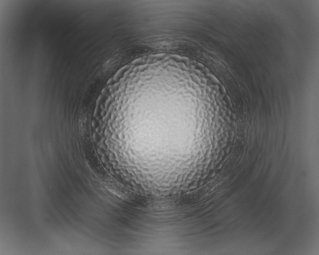 X0000082140652200702092126