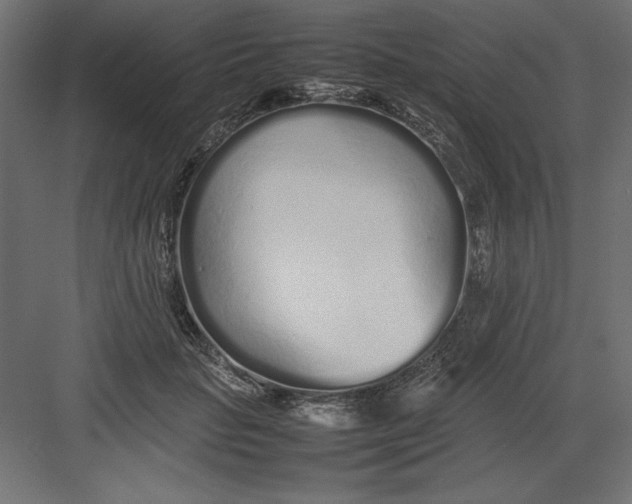 X0000082140653200702092126